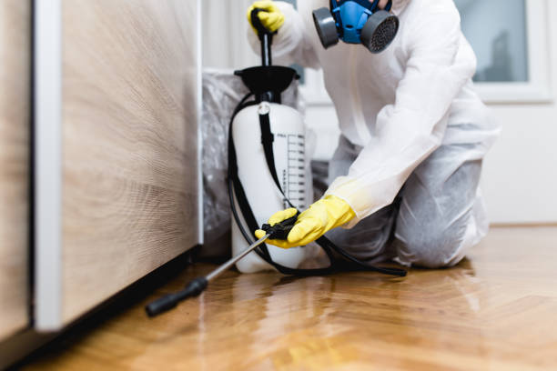 Best Bed Bug Extermination  in Moroni, UT