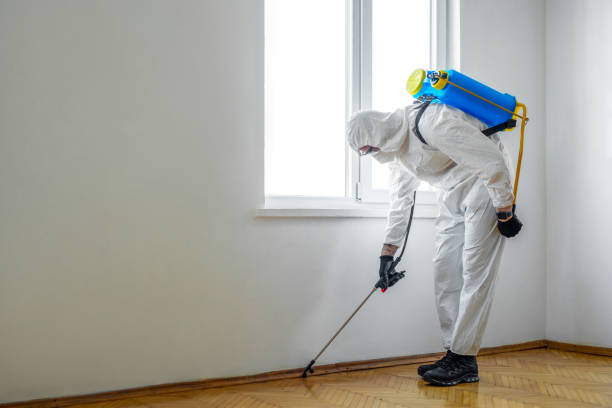 Best Termite Control Services  in Moroni, UT