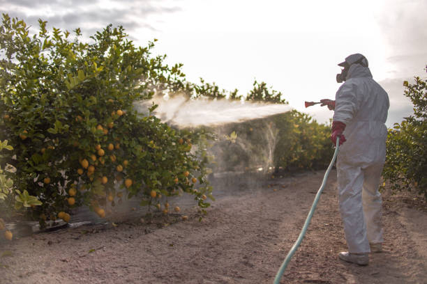 Best Emergency Pest Control  in Moroni, UT