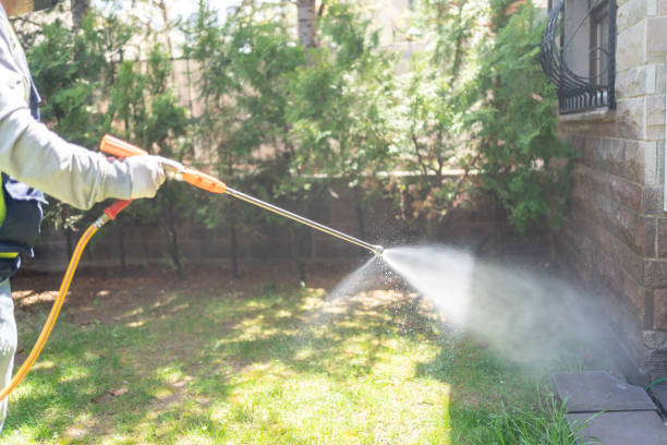 Best Emergency Pest Control  in Moroni, UT