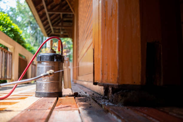 Best Exterminator Services  in Moroni, UT