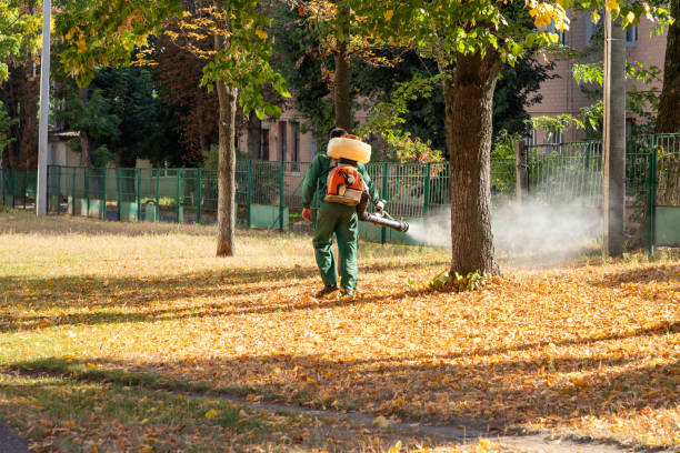 Best Pest Removal Services  in Moroni, UT